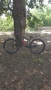 Колело Drag C2 Dirt, снимка 8