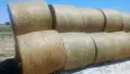 Рулонни бали овес , снимка 2