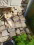 Продавам гнайс камък, снимка 1