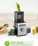 TUUMIIST Сокоизстисквачка за студено пресоване, 350W бавна екстракция, BPA-Free, снимка 4