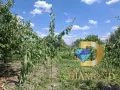 Къща в село Великан, общ. Димитровград, снимка 17