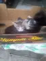 Подарявам котета , снимка 2