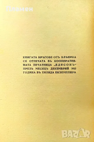 Брегове Бленика /1932/ , снимка 3 - Антикварни и старинни предмети - 55364888
