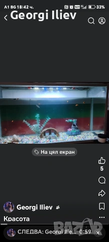 аквариум 