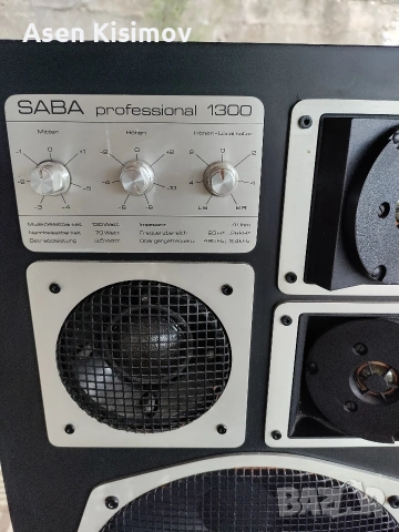 saba professional 1300, снимка 2 - Тонколони - 55166182