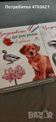 Големи помагала - Изкуството да рисуваш , снимка 2 - Курсове по рисуване - 55480996
