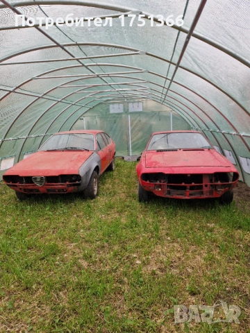 Alfa Romeo Alfetta GTV