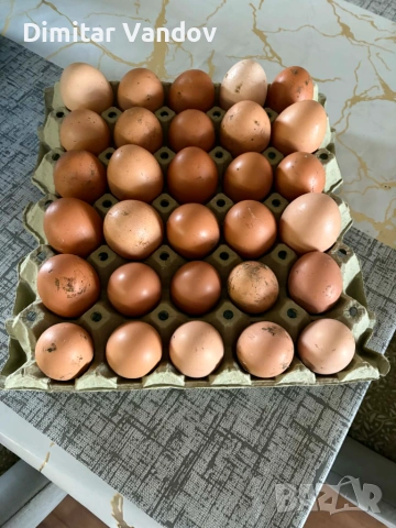 Предлагам пресни домашни кокоши яйца , снимка 4 - Кокошки и пуйки - 54987616