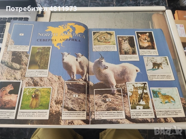 Албум Панини животните по света panini, снимка 2 - Колекции - 55440658