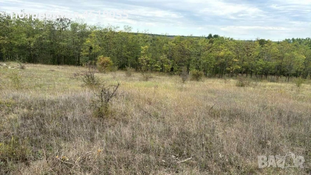 Продавам парцел 7 дка в с Николаевка общ Суворово 