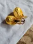 балтийски кехлибар. кехлибар, снимка 2