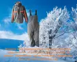 Ватиран работен полугащеризон от български производител, снимка 1