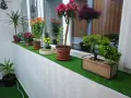 Продавам Апартамент , снимка 1