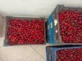 Продава български ЧЕРЕШИ в София от с. Виноградец, Пазарджишко, снимка 1