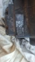 продавам за части Пежо 807 2.0HDI 136 2007г, снимка 3