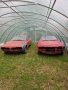 Alfa Romeo Alfetta GTV, снимка 1