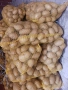 Продавам картоф Агата 80цента, снимка 3