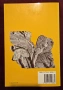 Illustrations of Old Testament History, снимка 14