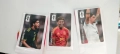 Panini world cup sticker fifa 2026 coca cola Панини стикери, снимка 1