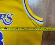 NBA / Los Angeles Lakers / #23 JAMES - детски баскетболен потник, снимка 9