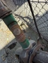 Ретро колело, снимка 2