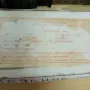 Български поялници, снимка 4