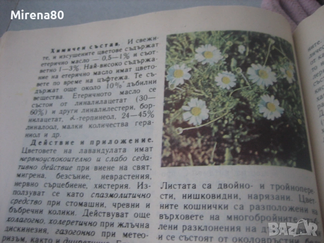 Природна аптека, снимка 4 - Здраве, медицина и спорт - 55193742