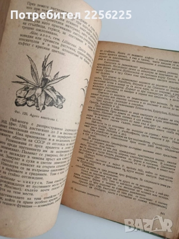 Декоративно градинарство 1956г, снимка 2 - Специализирана литература - 55151912