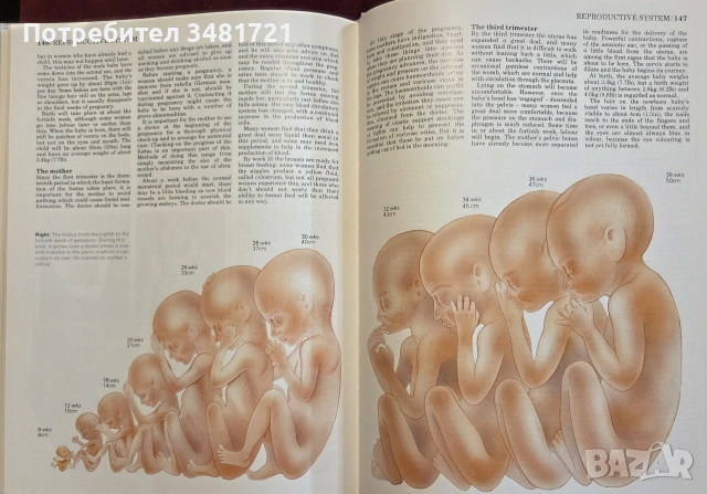 Атлас по анатомия / Atlas of Anatomy, снимка 10 - Специализирана литература - 55064882