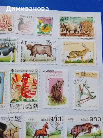 23 пощенски марки (коне, крави), снимка 3 - Филателия - 53995745