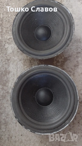 говорители Пайнер