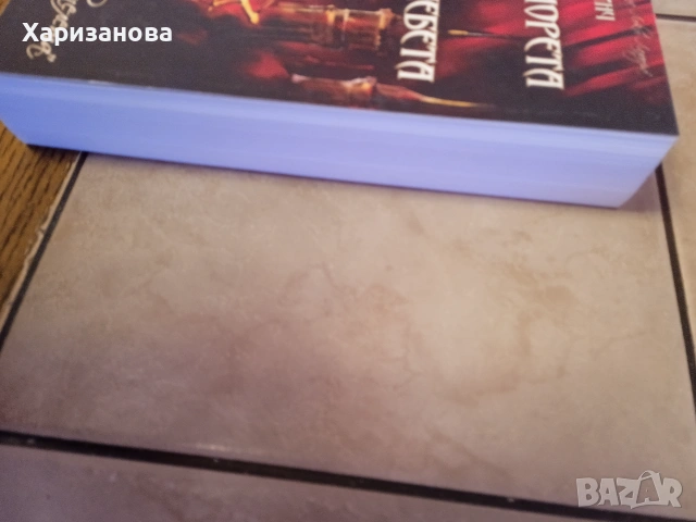Джентълмените копелета от Скот Линч , снимка 9 - Художествена литература - 54966583