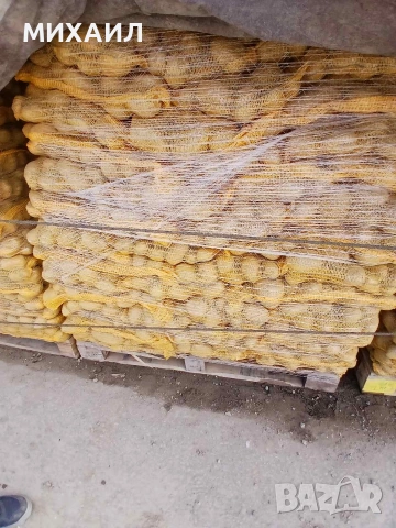 Картофи Сорая за консумация , снимка 2 - Други - 54230719