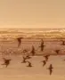 Избери Китен през август за море, снимка 6