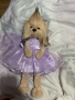 Плюшено куче, снимка 1