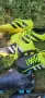 Футболни бутонки/ Football shoes, снимка 1