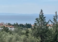 Psakudia Халкидики парцел от 5200 м2., снимка 1