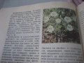 Природна аптека, снимка 4