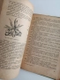 Декоративно градинарство 1956г, снимка 2