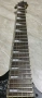 Ibanez RG350EX, снимка 2