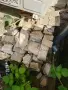 Продавам гнайс камък, снимка 2