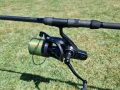Шаранджийски сem daiwa emblem, снимка 6