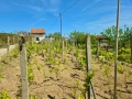 Панорамен парцел с морска гледка гр Варна кв Изгрев , снимка 12