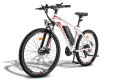 Електрическо колело FAFREES Hailong One 450W 36V 13Ah, снимка 1