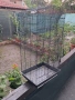 Кафез за птици, снимка 2