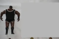 Кеч Фигури Torrie Wilson/Triple H/Matt Hardy/Edge/Mark Henry/Sandman/Ric Flair/Chris Jericho, снимка 11
