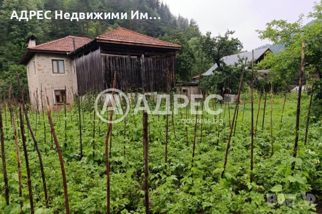 Къща/Вила, продажба, Арда, снимка 10 - Къщи - 55283287