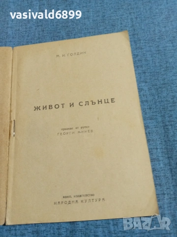 Голдин - Живот и слънце , снимка 4 - Други - 55072709