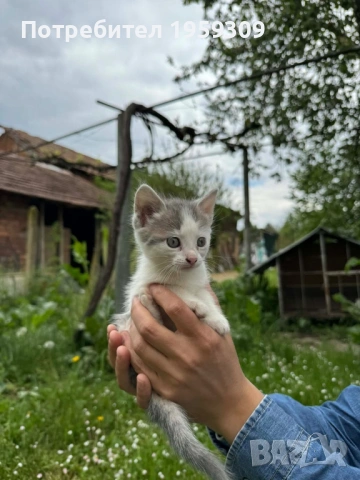 Подаряват се