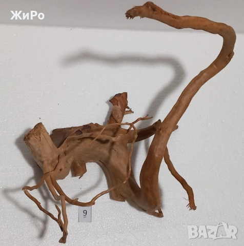 Корен от Азалия /декорация/ 9, снимка 5 - Други - 48577954